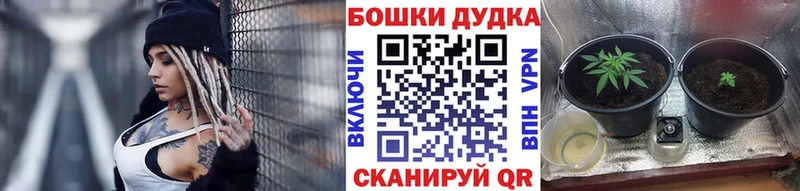 Конопля SATIVA & INDICA Звенигово