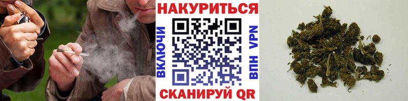 Бошки Шишки семена Звенигово